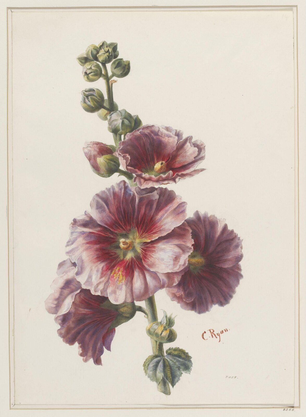 Drawing, 19th century