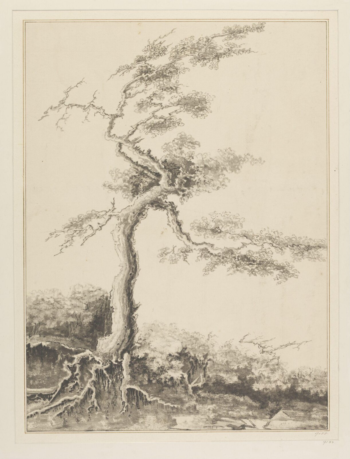 Drawing