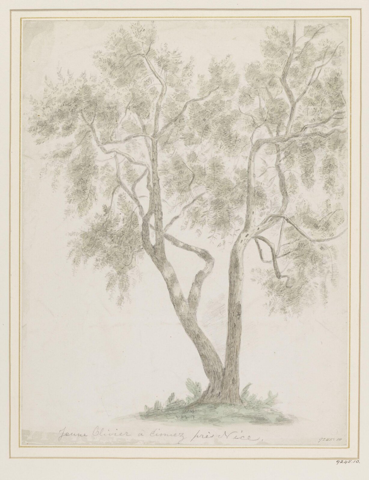 Drawing