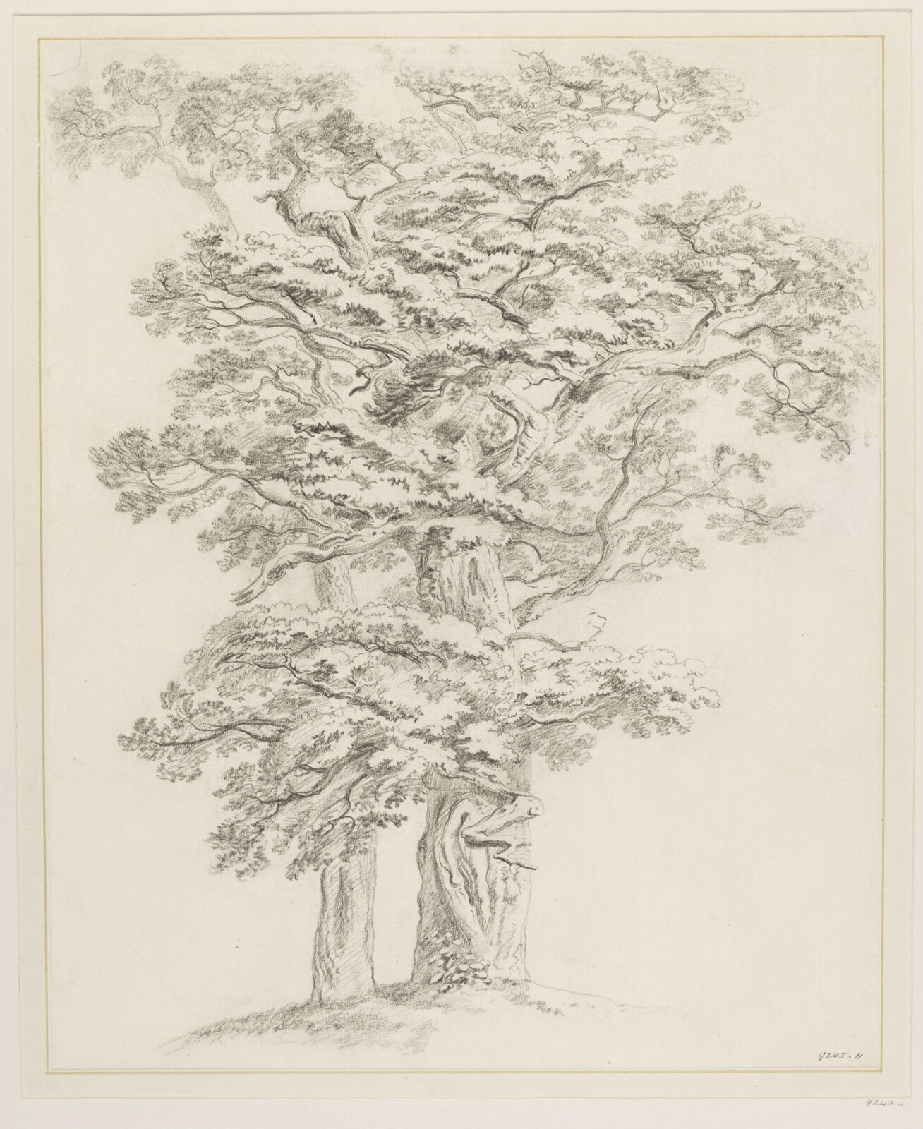 Drawing