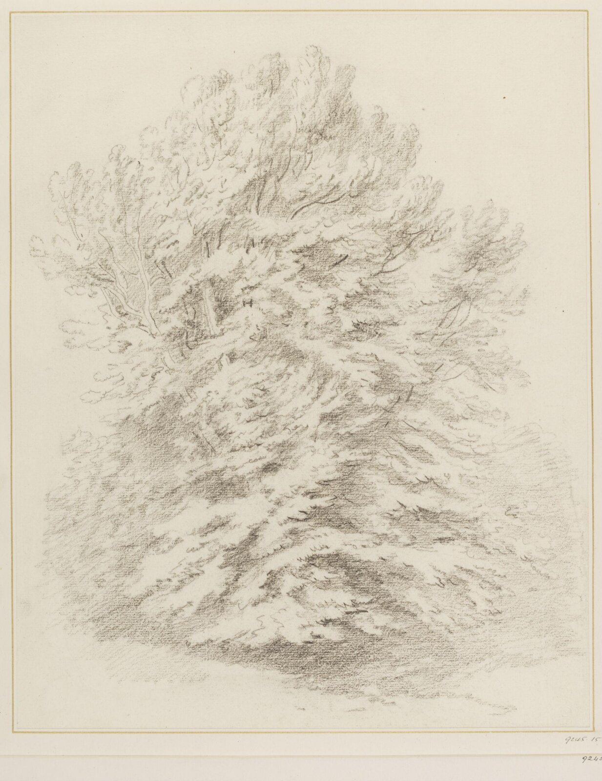 Drawing