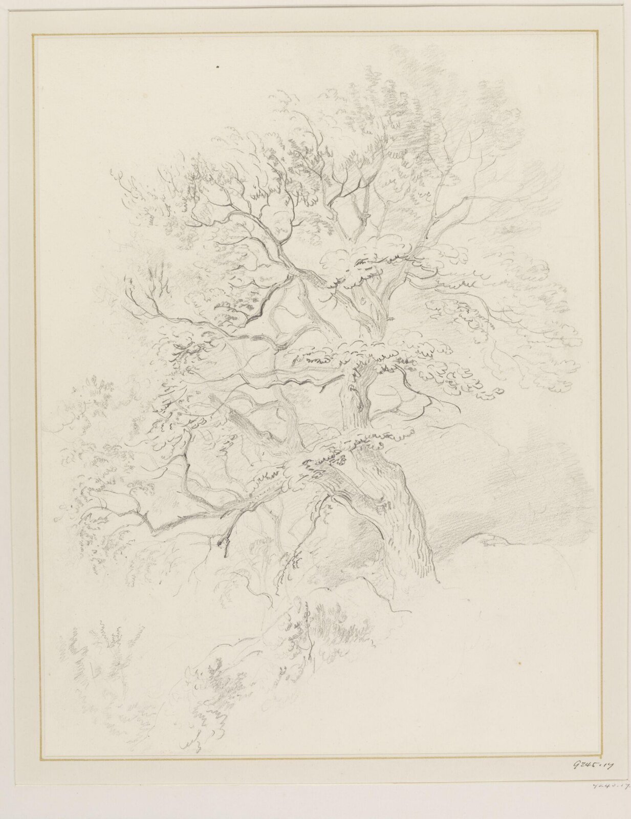 Drawing
