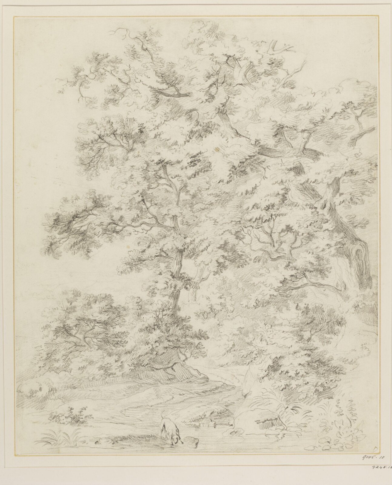 Drawing