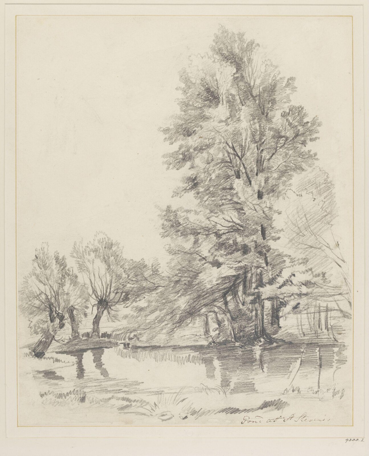 Pond at St. Stephens