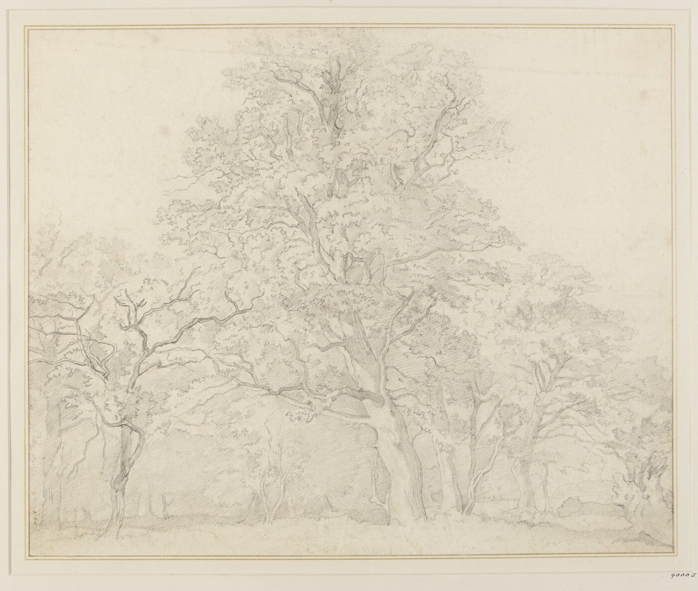 Unknown, Drawing