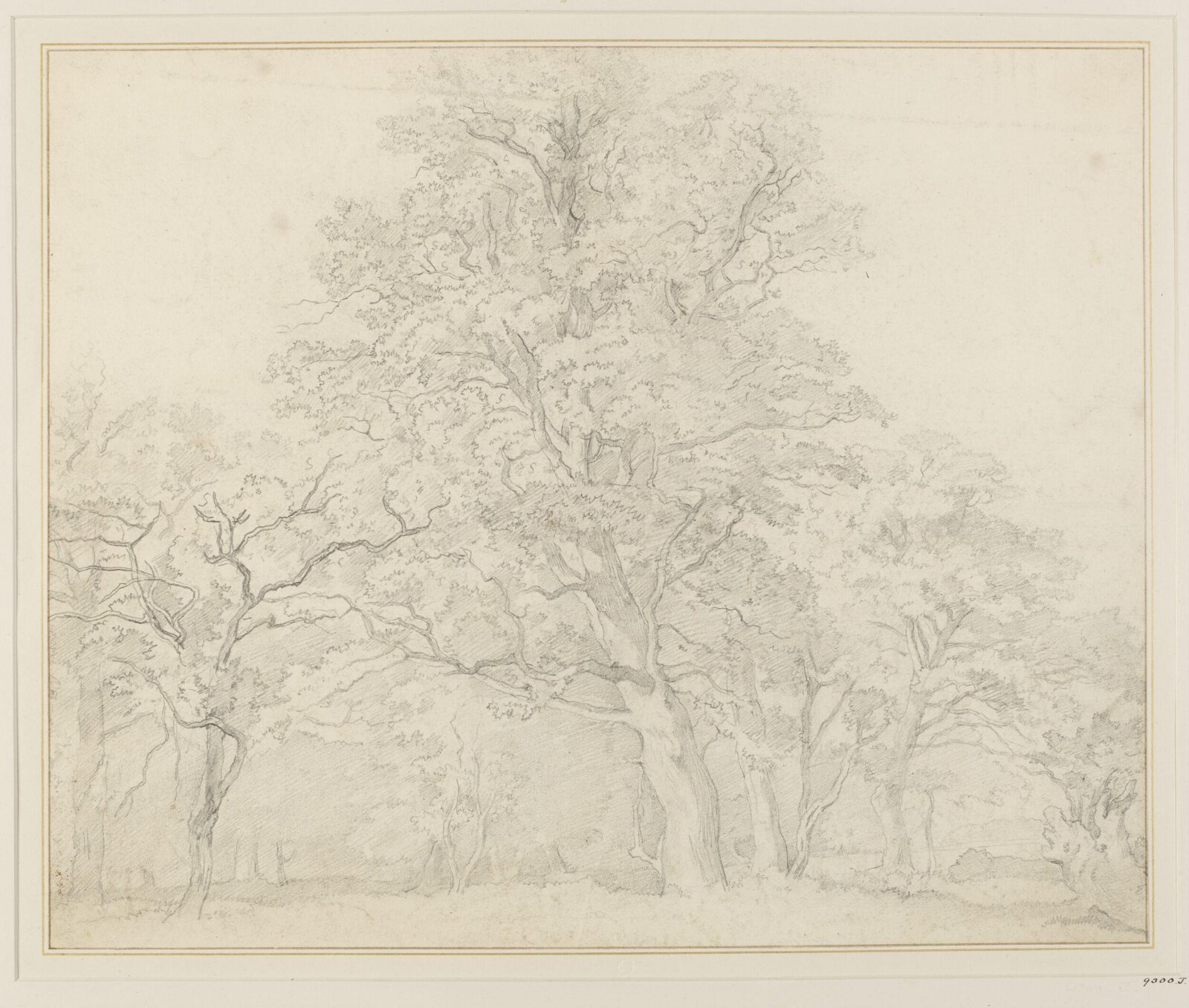 Drawing