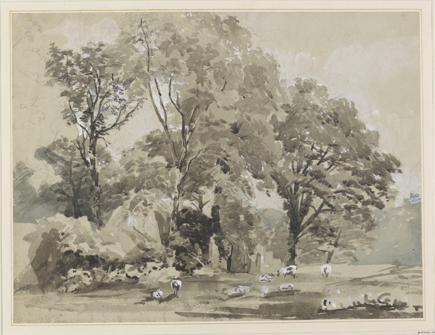 Unknown, Drawing
