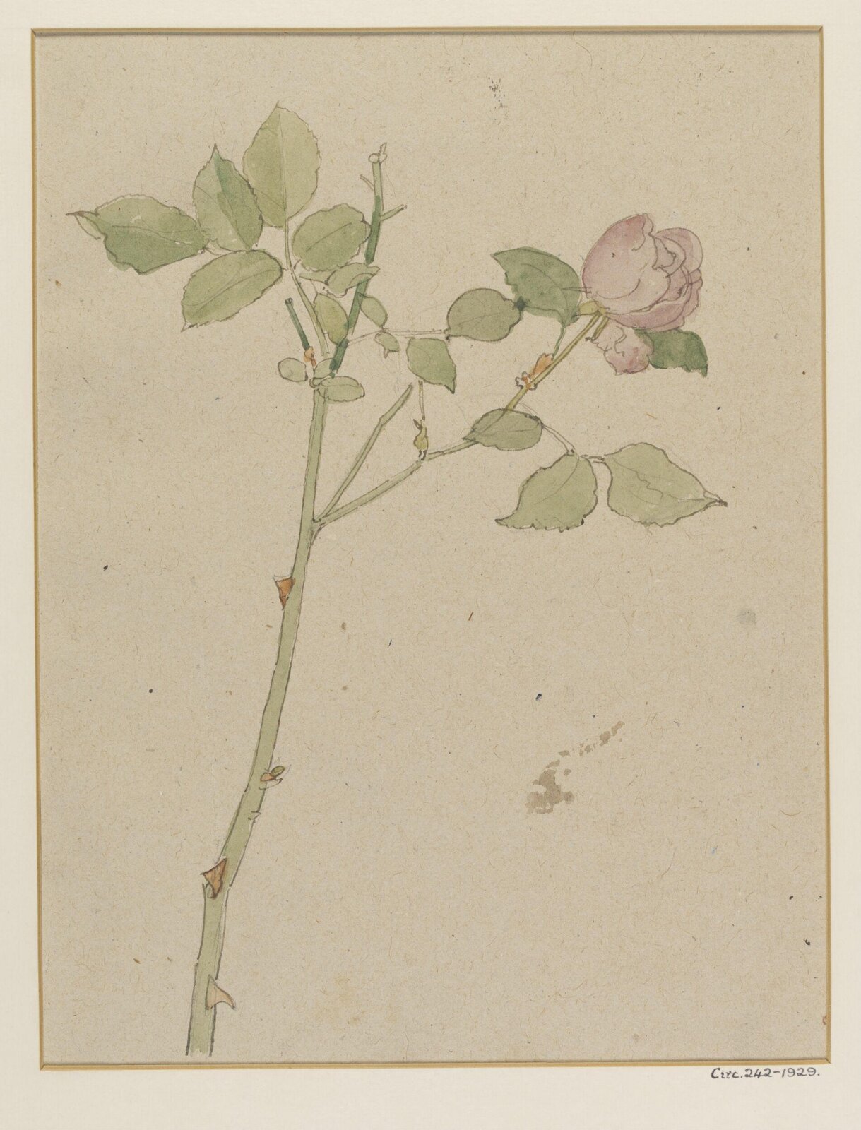 Rose, Alfred William Rich
