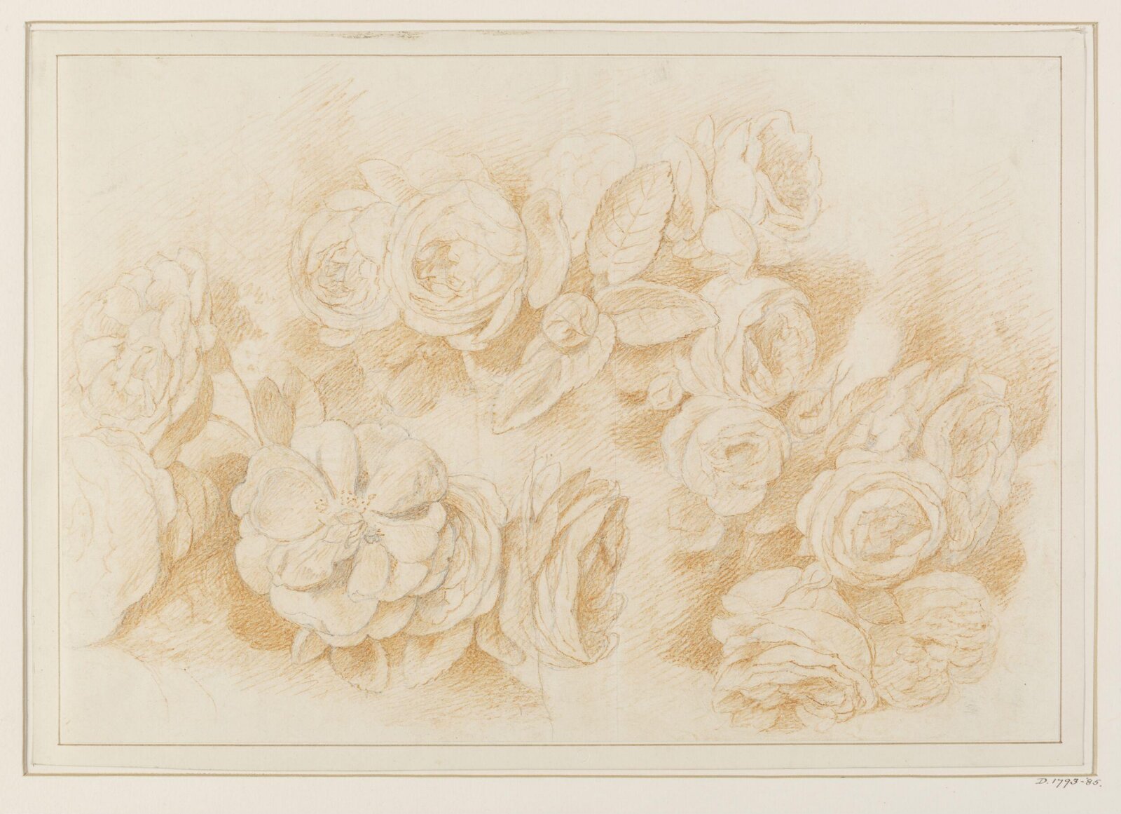 Drawing