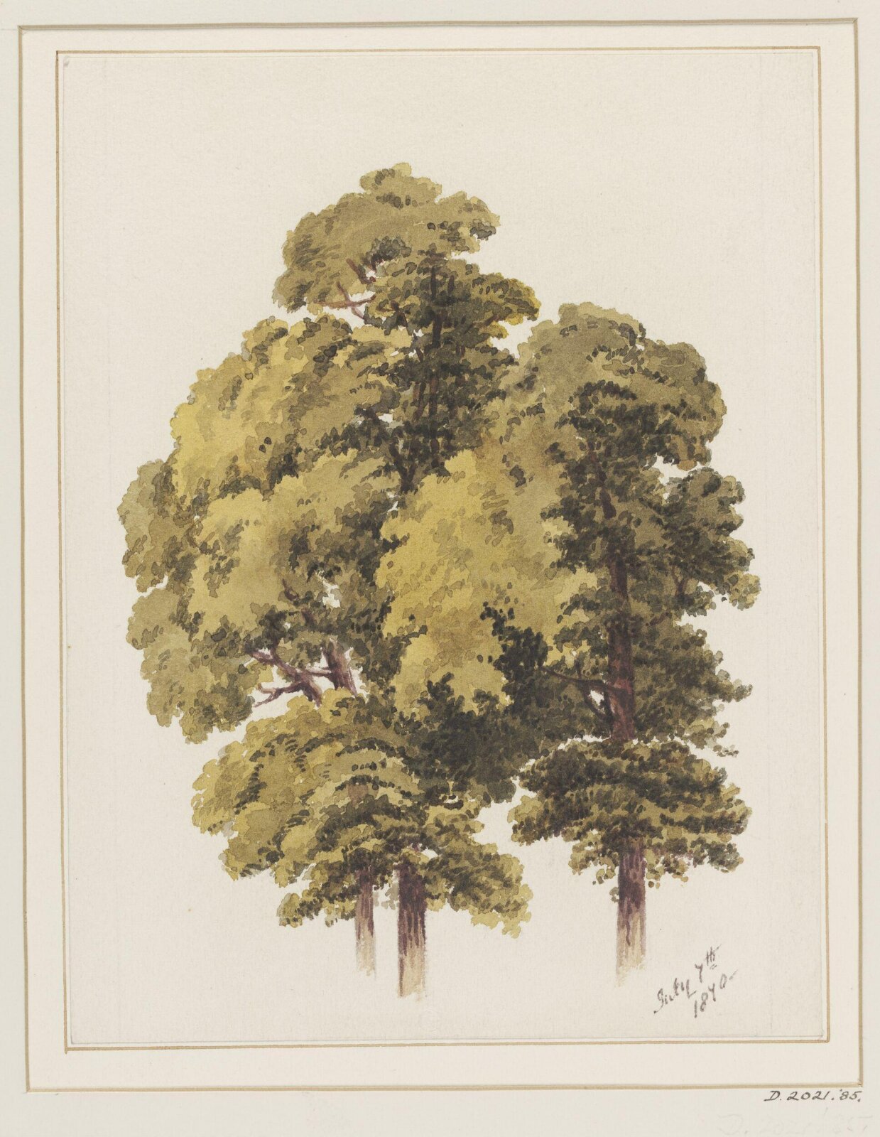 Drawing, 7th July 1870