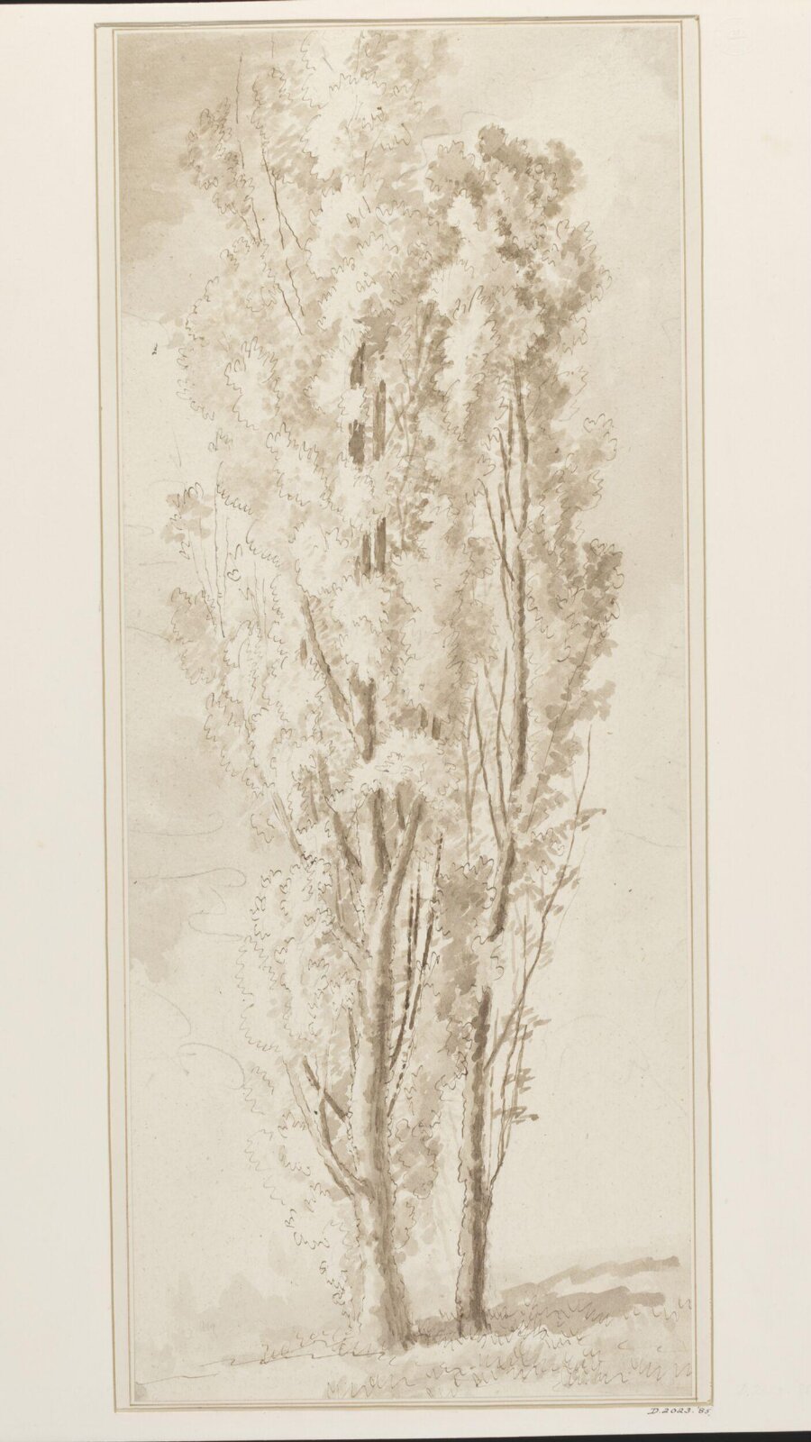 Drawing