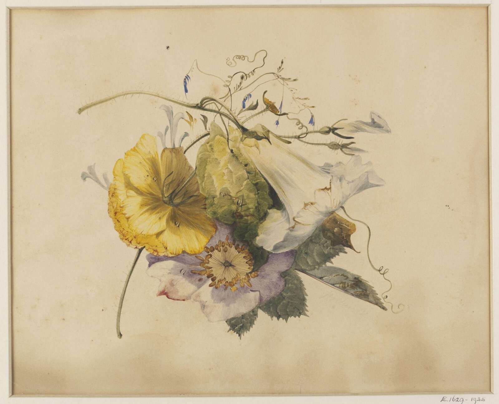 Drawing, John Hollins, ca. early 19th century