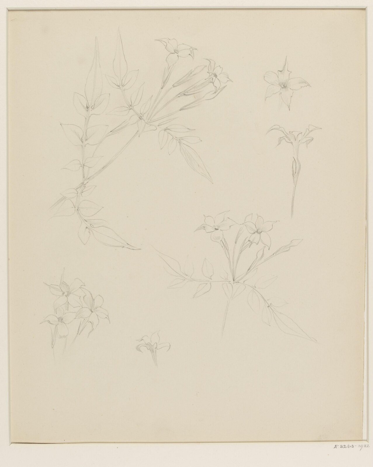 Drawing, W. R. Lethaby, late 19th-early 20th century