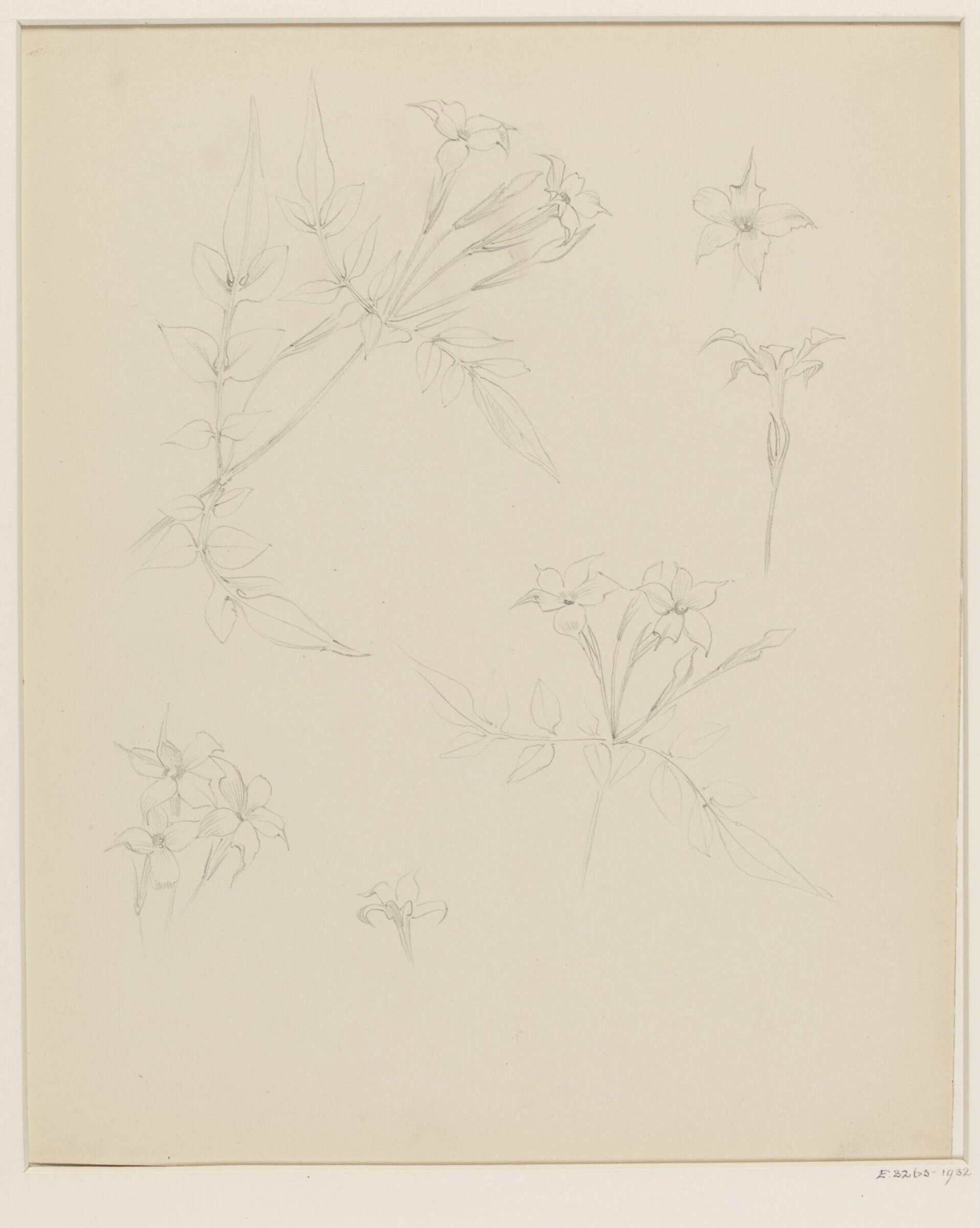 Drawing, W. R. Lethaby, late 19th-early 20th century