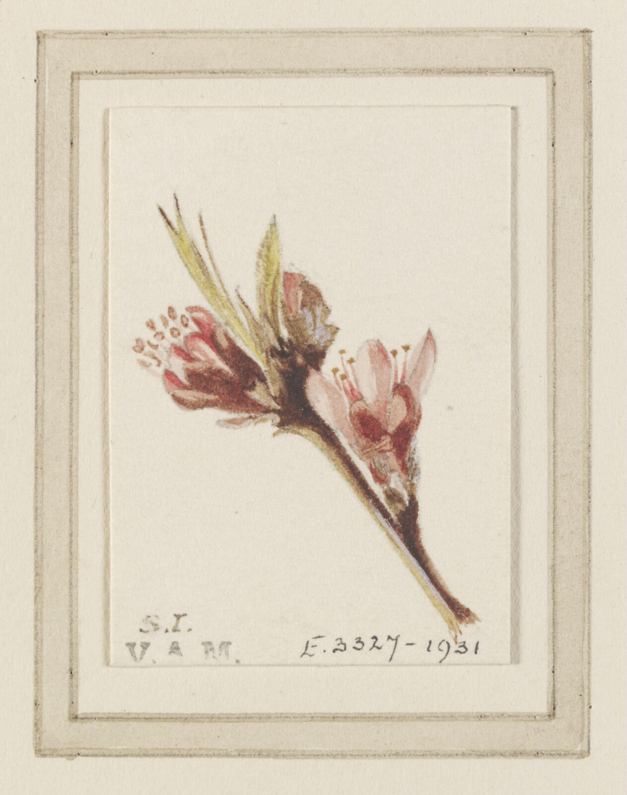 Watercolour study, Selwyn Image, c.1876