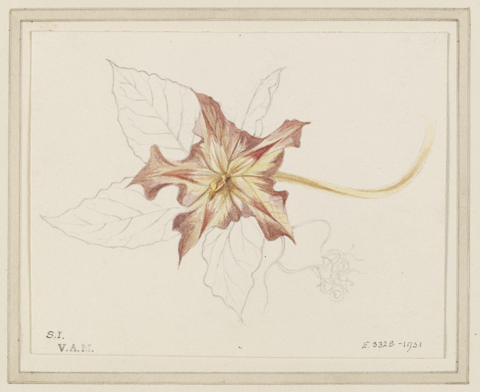 Watercolour study, Selwyn Image, c.1876
