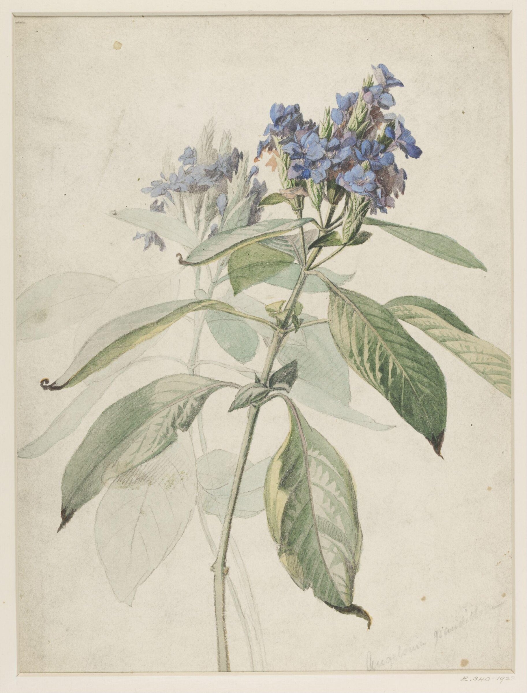 Drawing, Charles Ferdinand Hürten, 1866