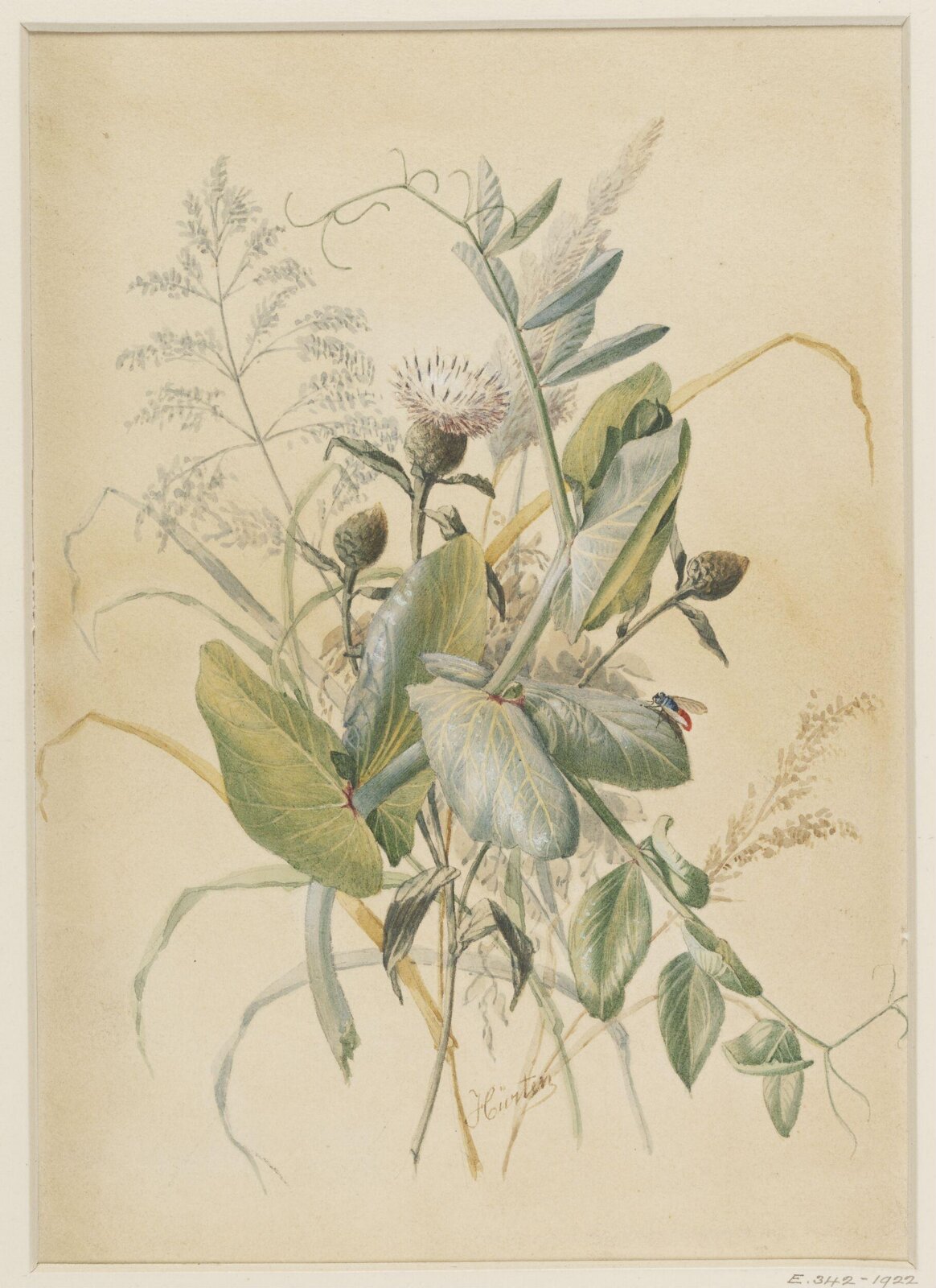 Drawing, Charles Ferdinand Hürten