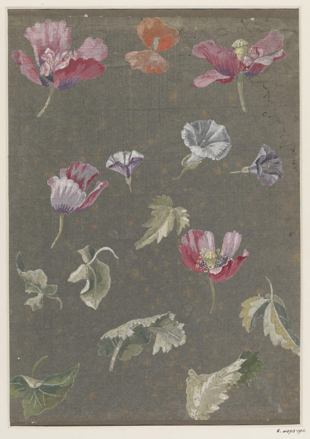 unknown, Drawing