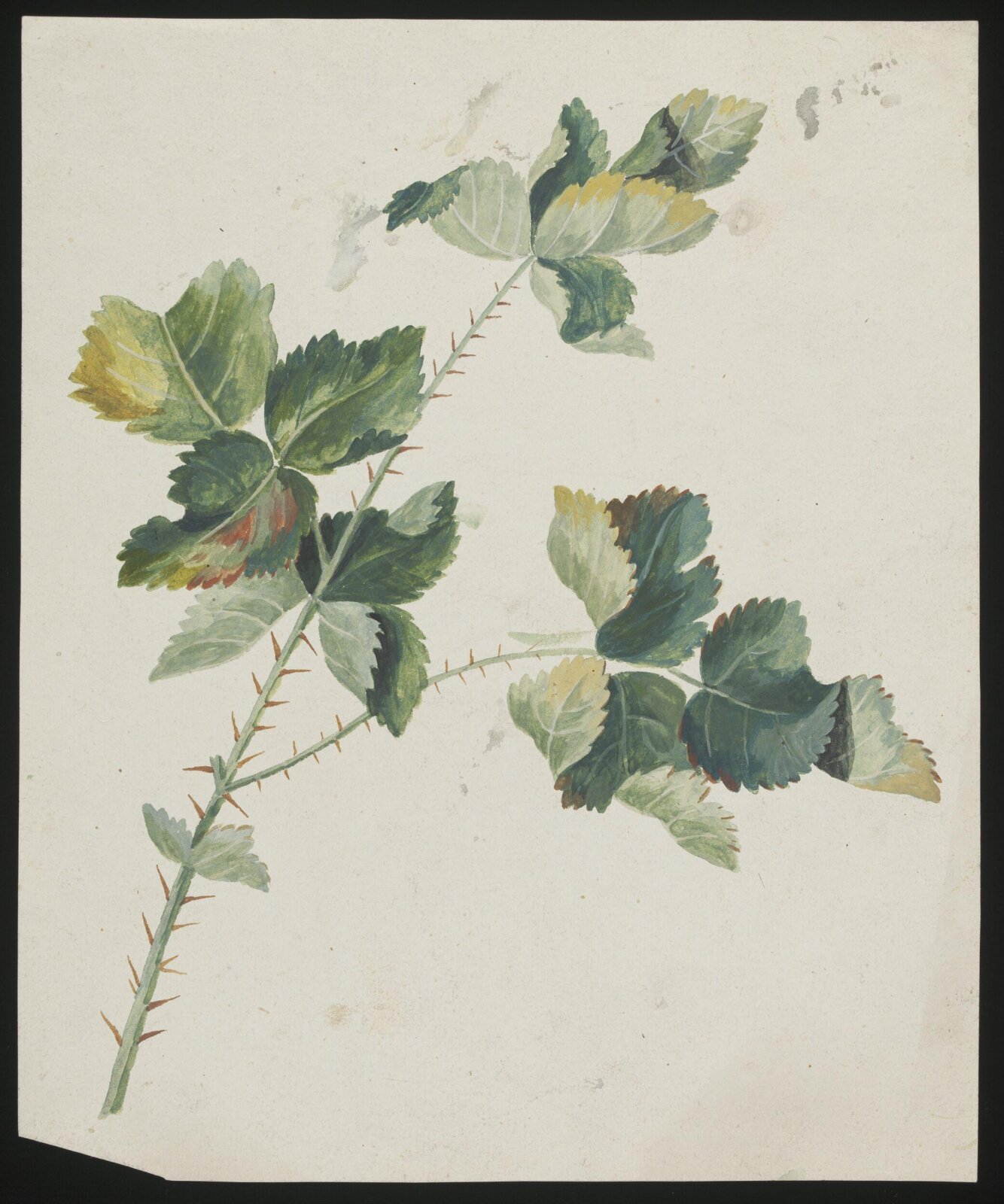 Drawing, late 18th century - early 19th century
