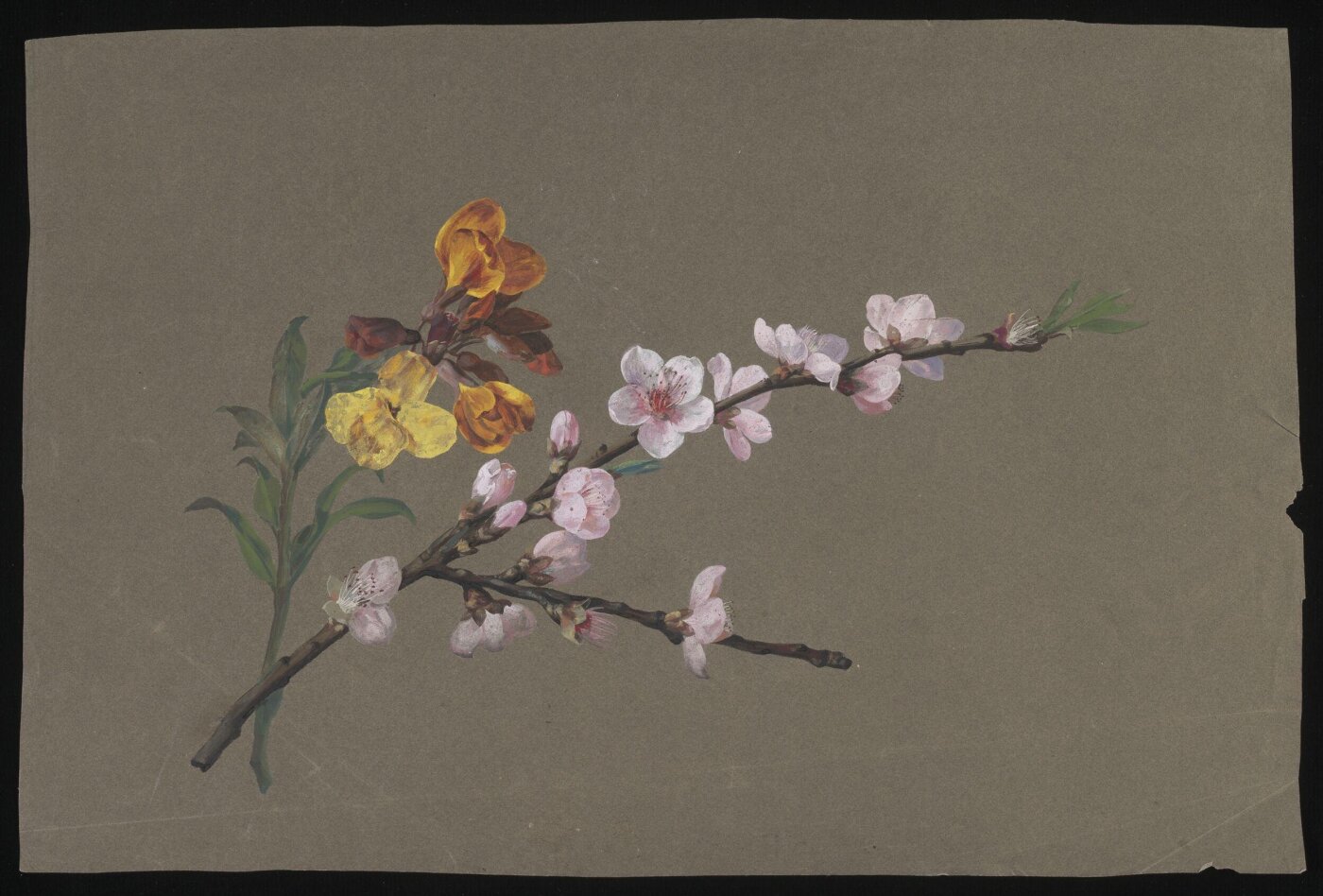 unknown, Drawing