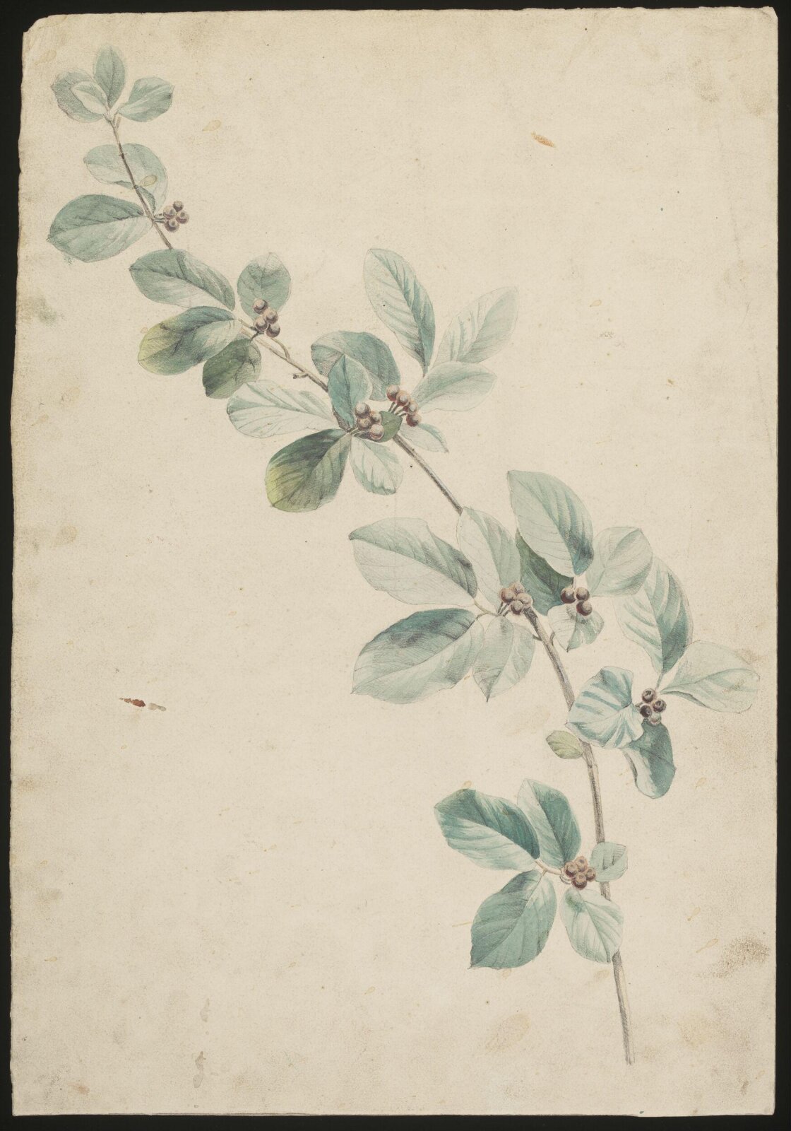 Drawing, late 18th century - early 19th century