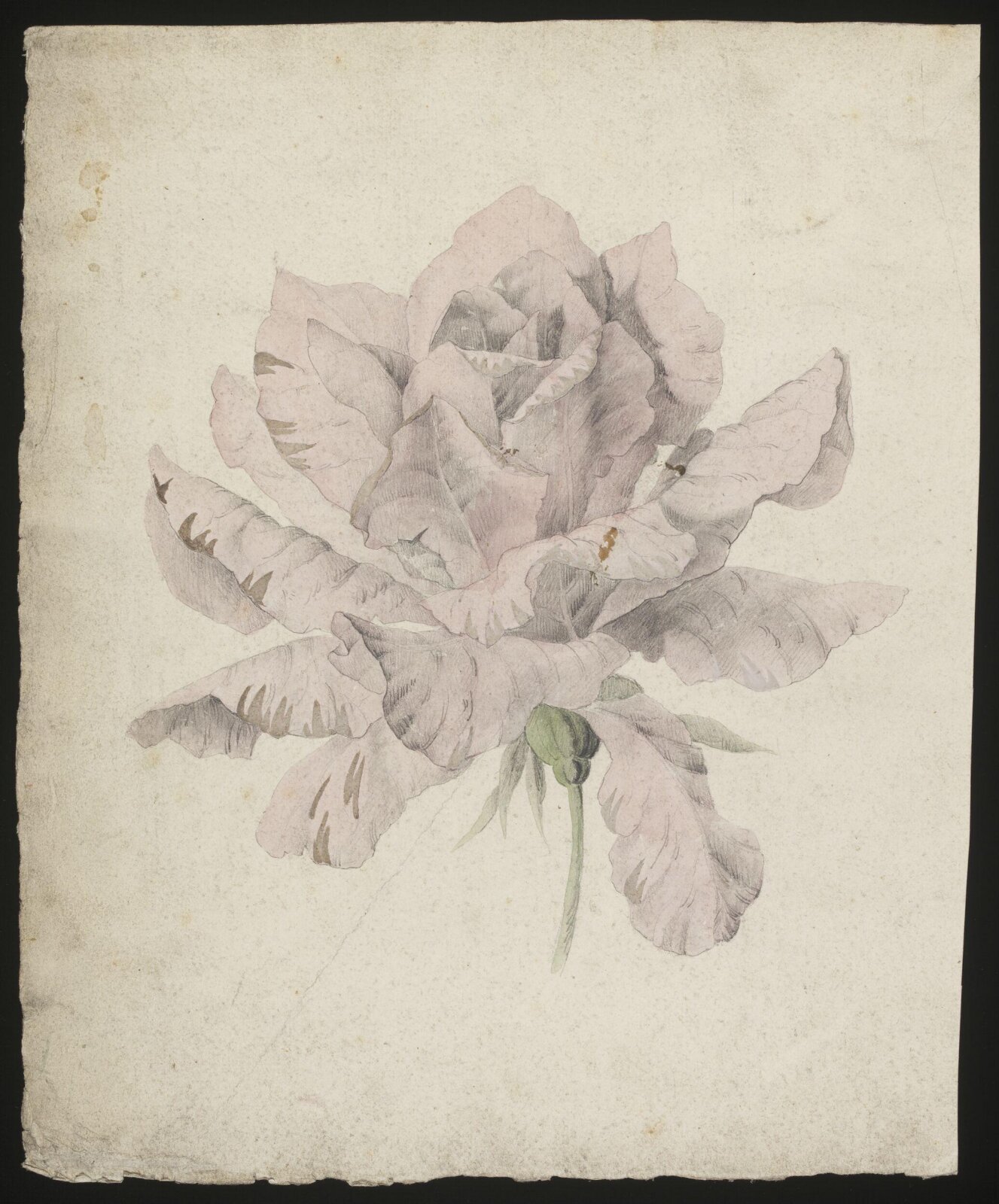 Drawing, late 18th century - early 19th century