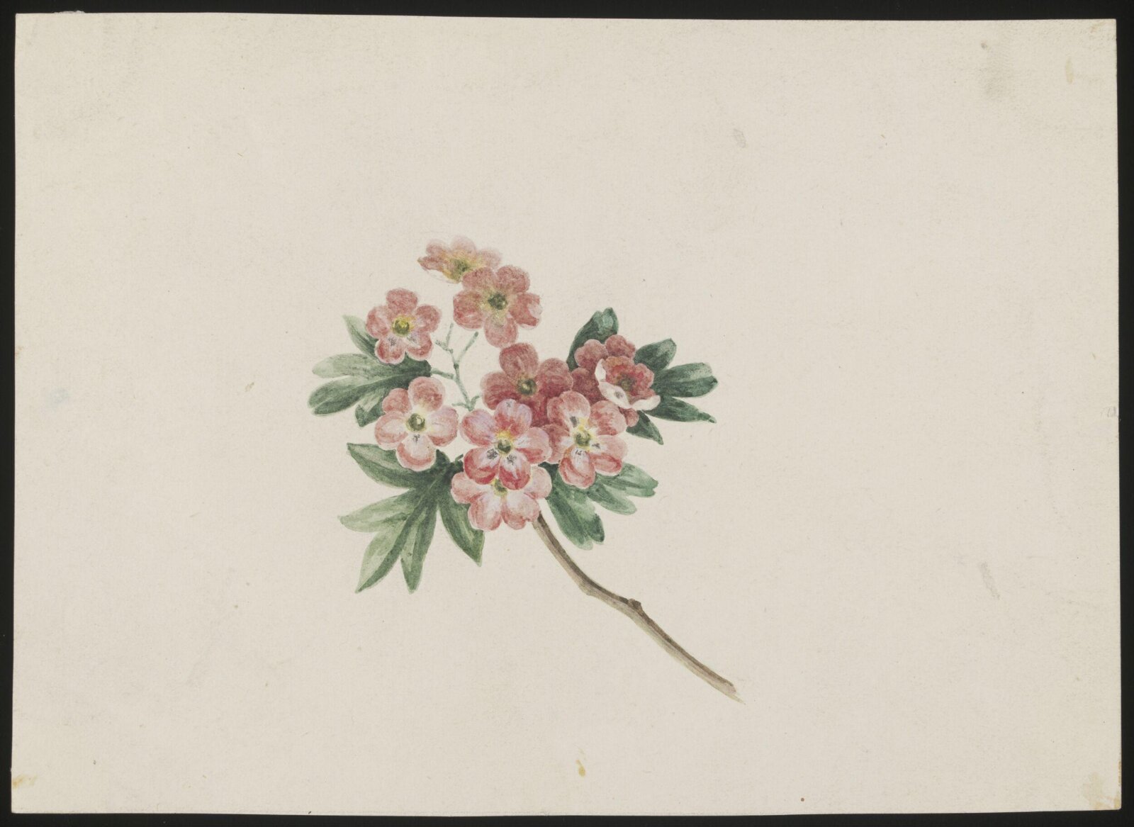 Drawing, late 18th century - early 19th century