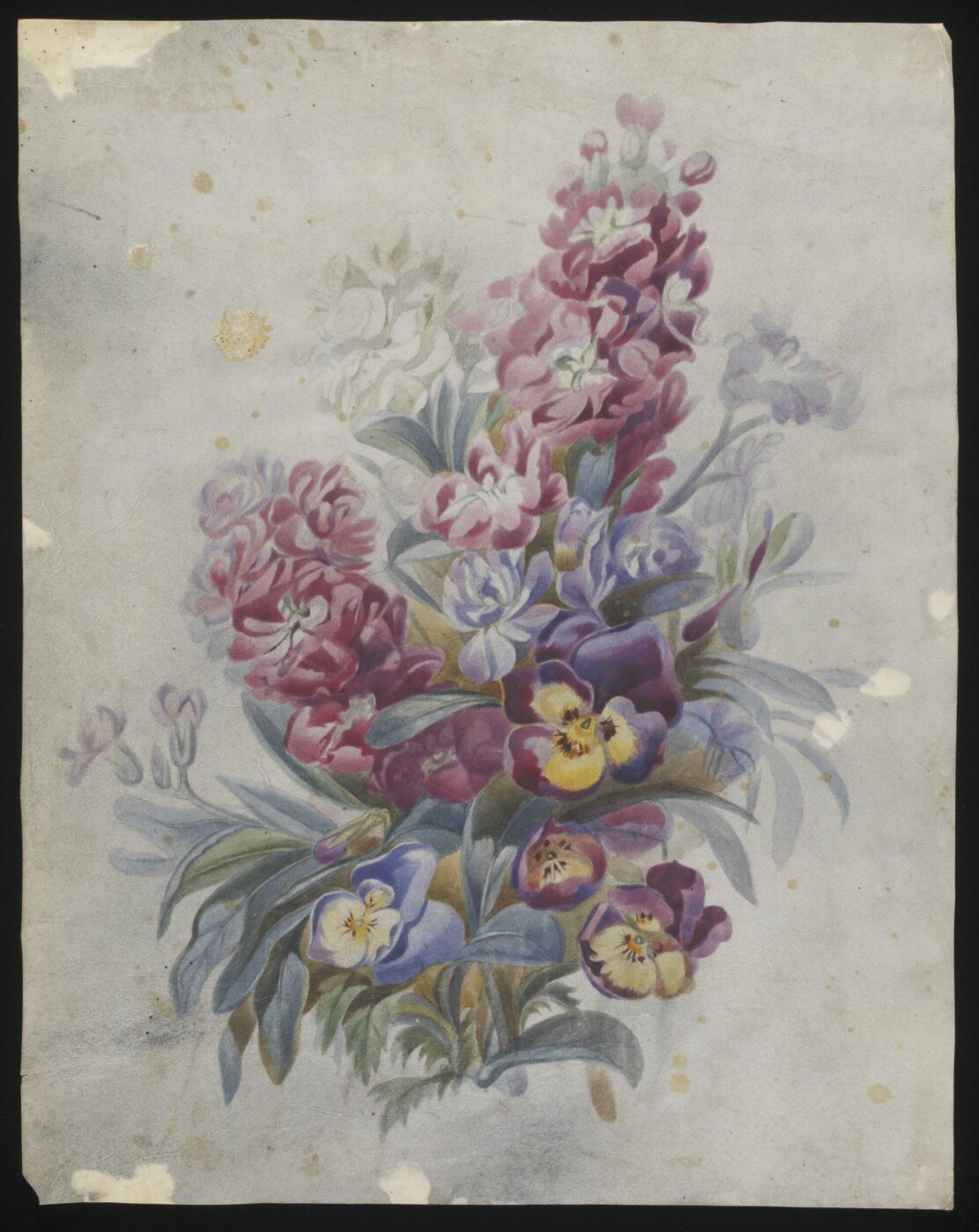 unknown, Drawing