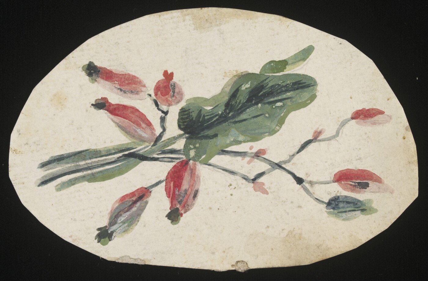 unknown, Drawing