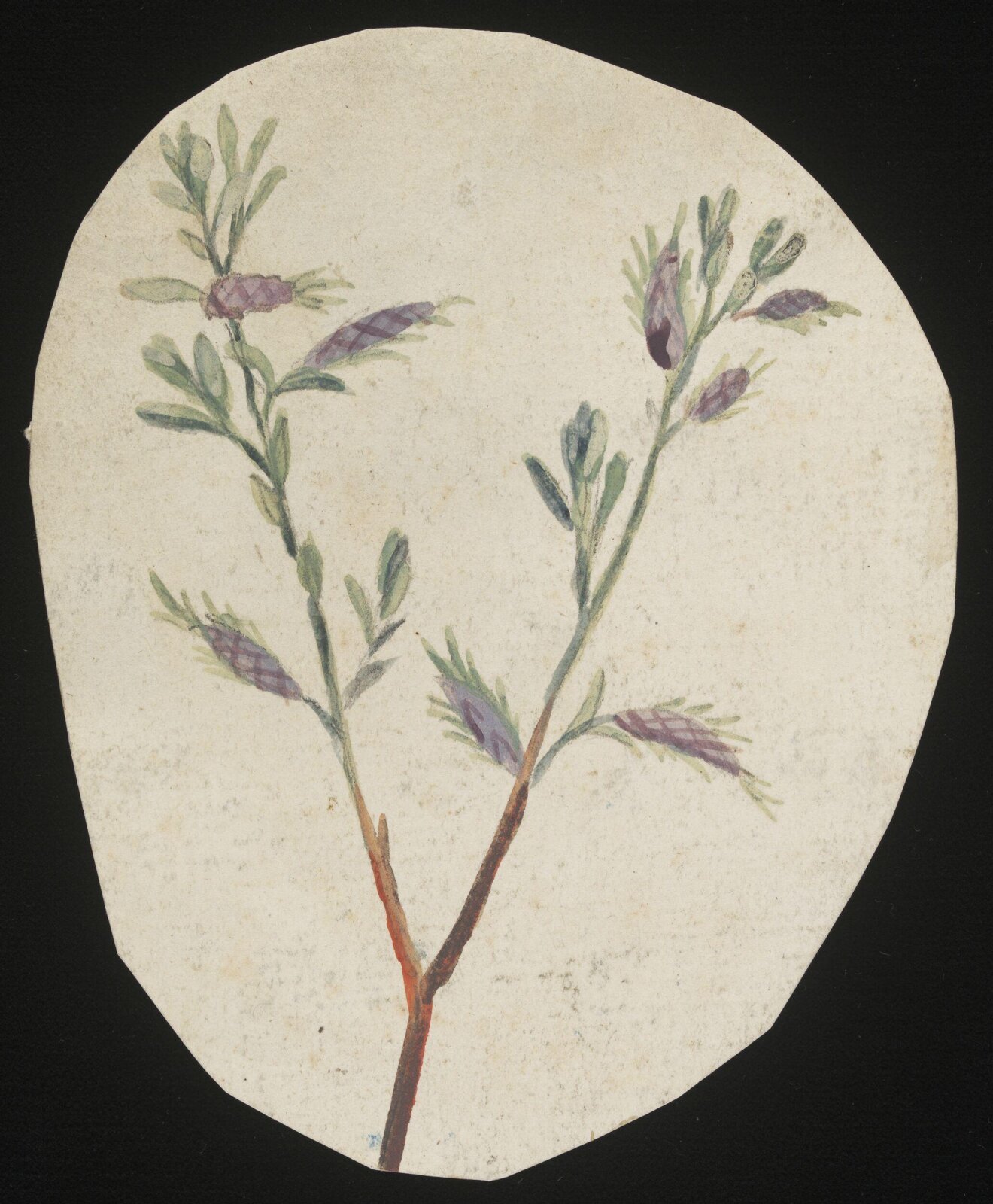 Drawing, late 18th century - early 19th century