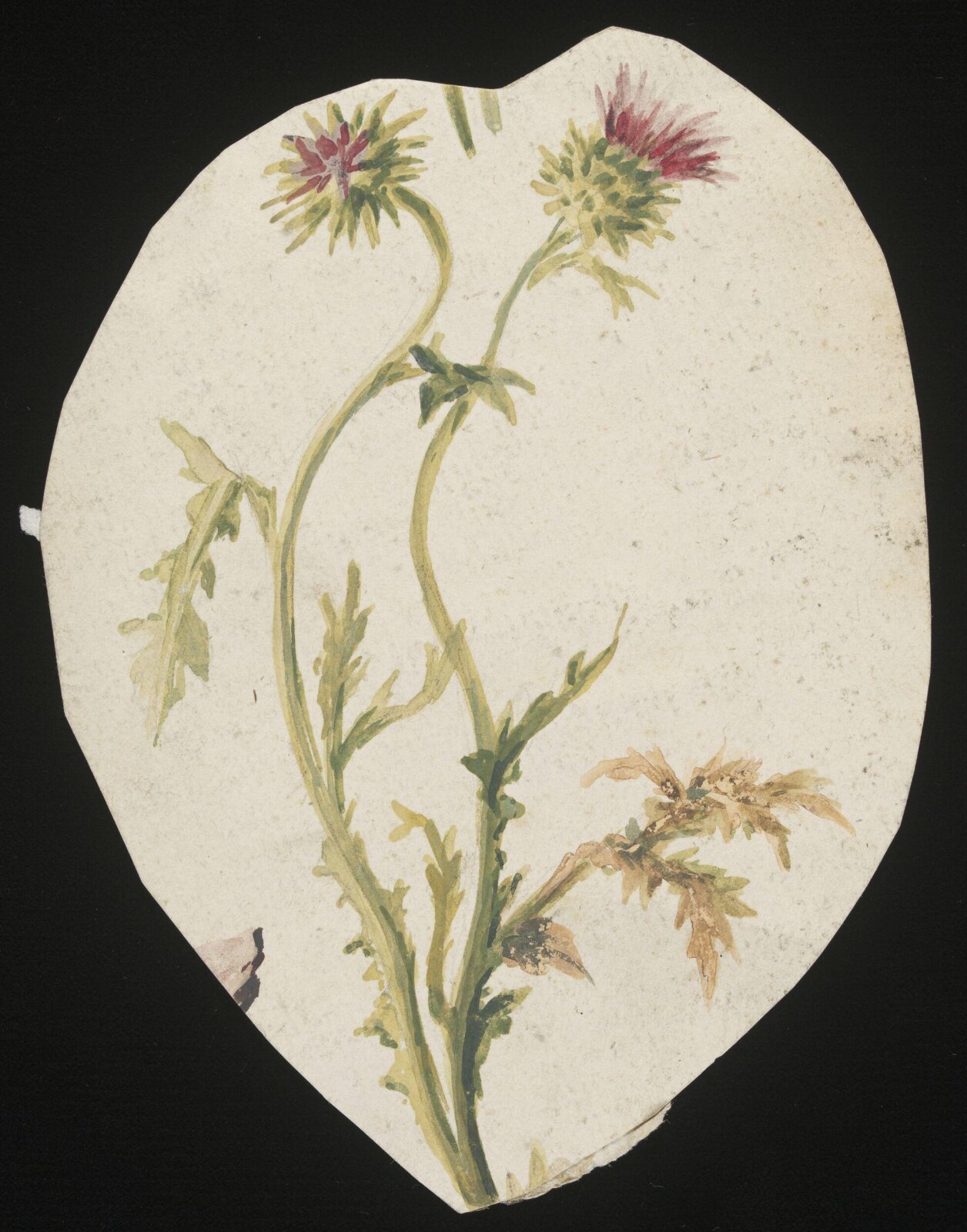Drawing, late 18th century - early 19th century