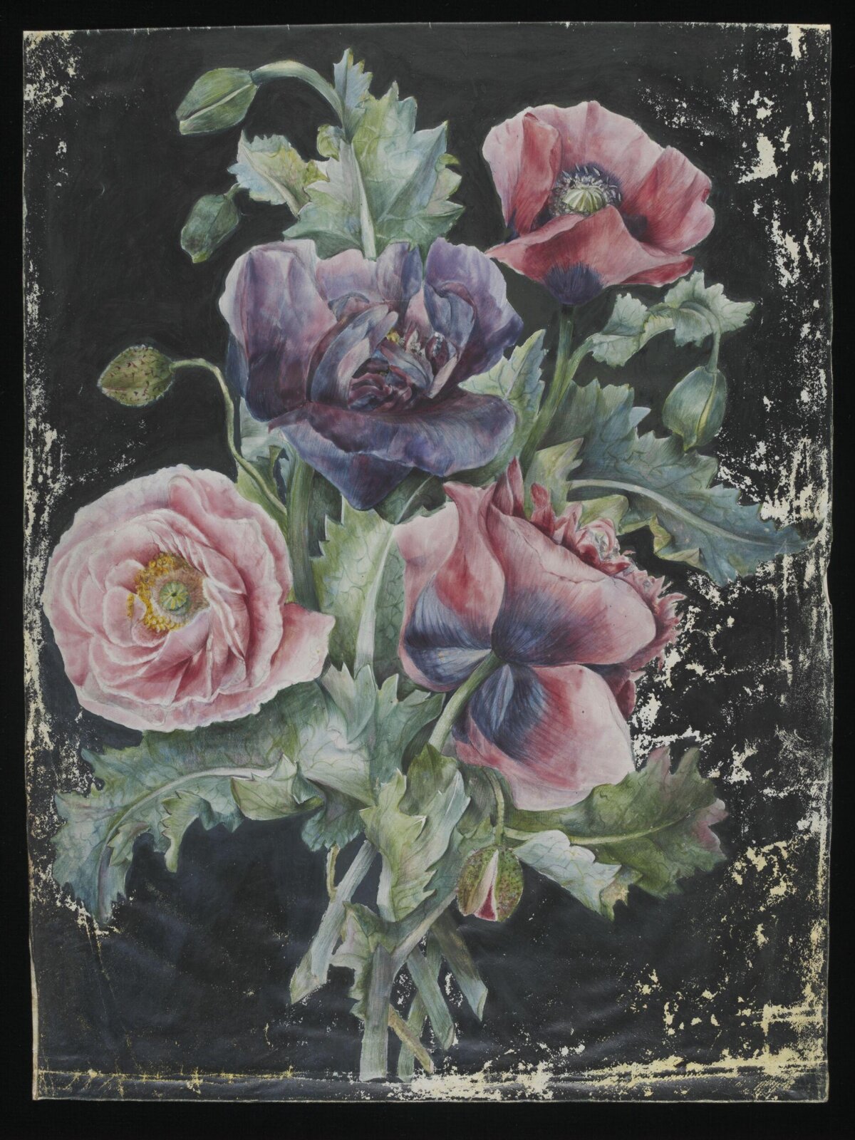 Drawing, late 18th century - early 19th century