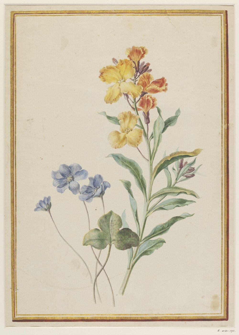 unknown, Drawing
