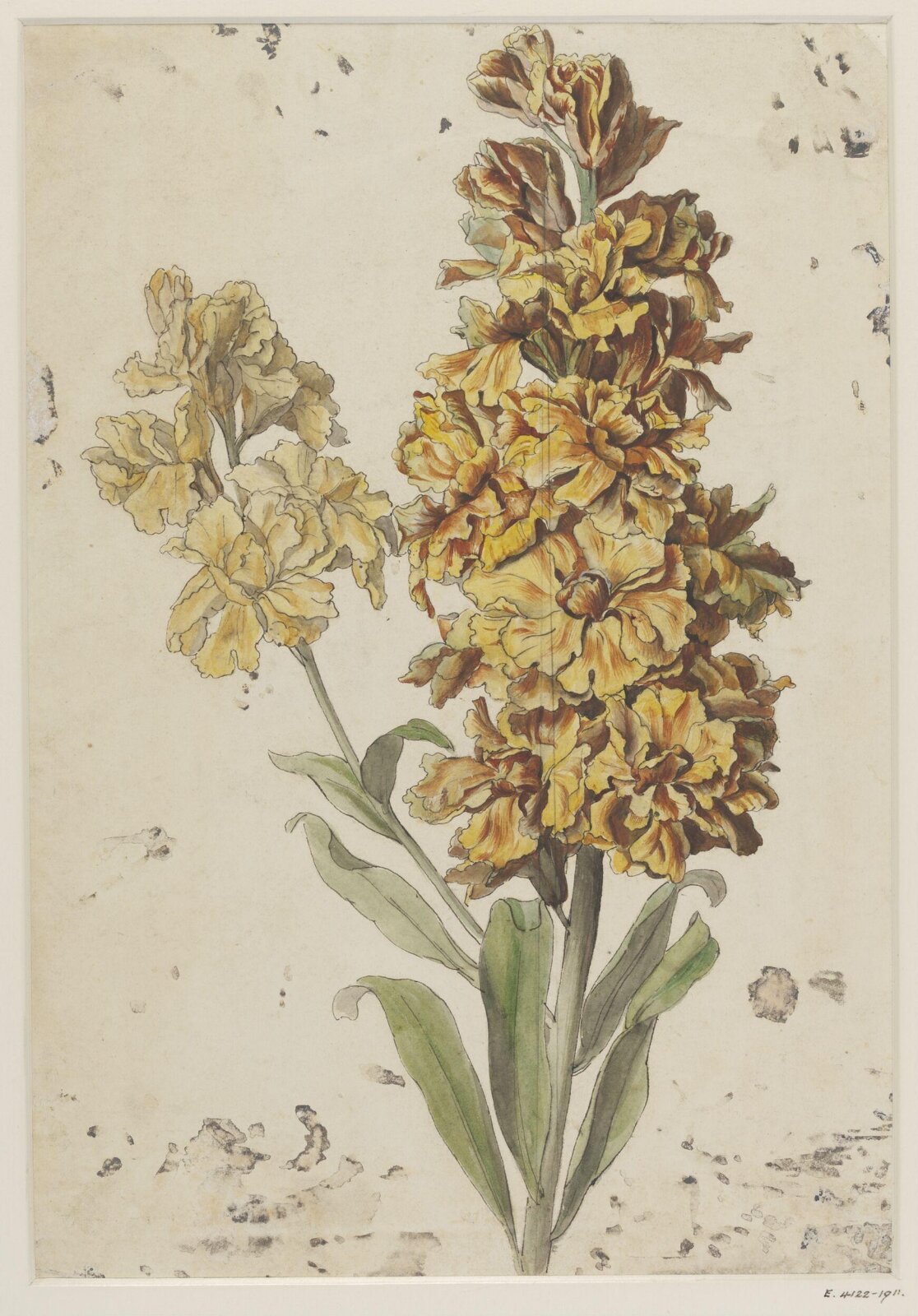Drawing, late 18th century - early 19th century