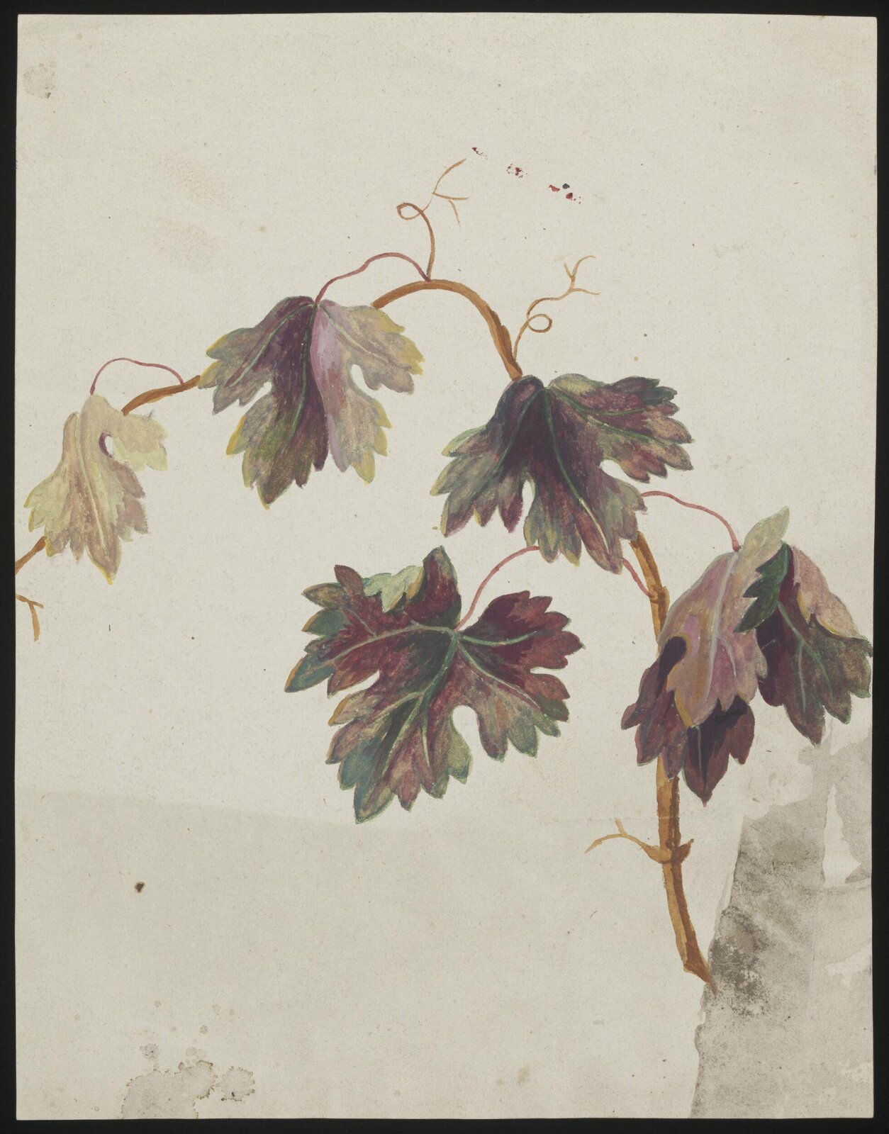 Drawing, late 18th century - early 19th century