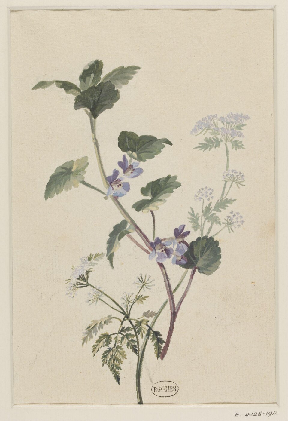 unknown, Drawing