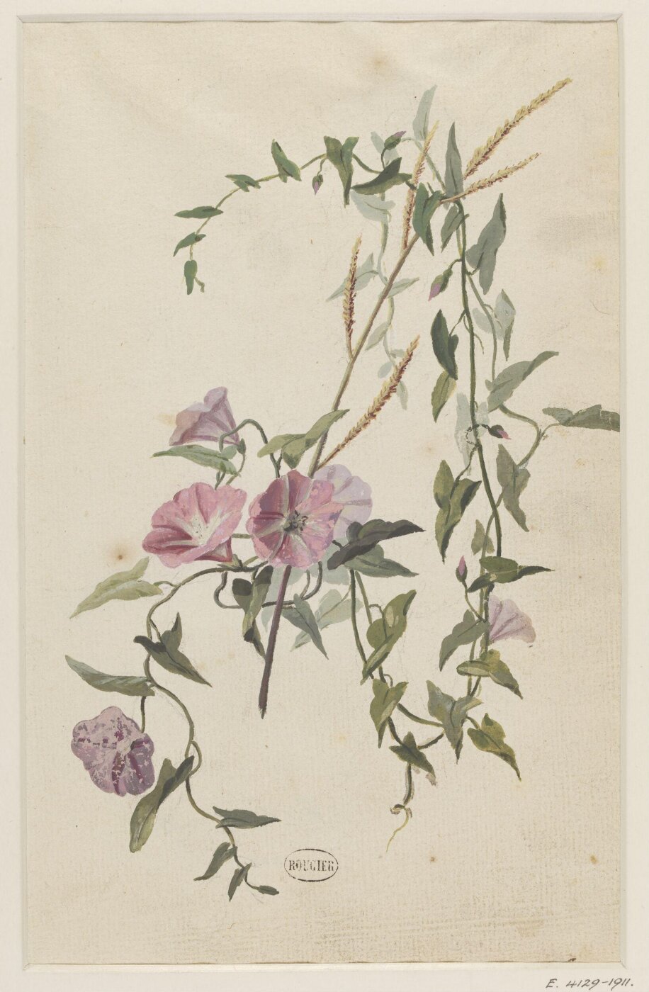 unknown, Drawing