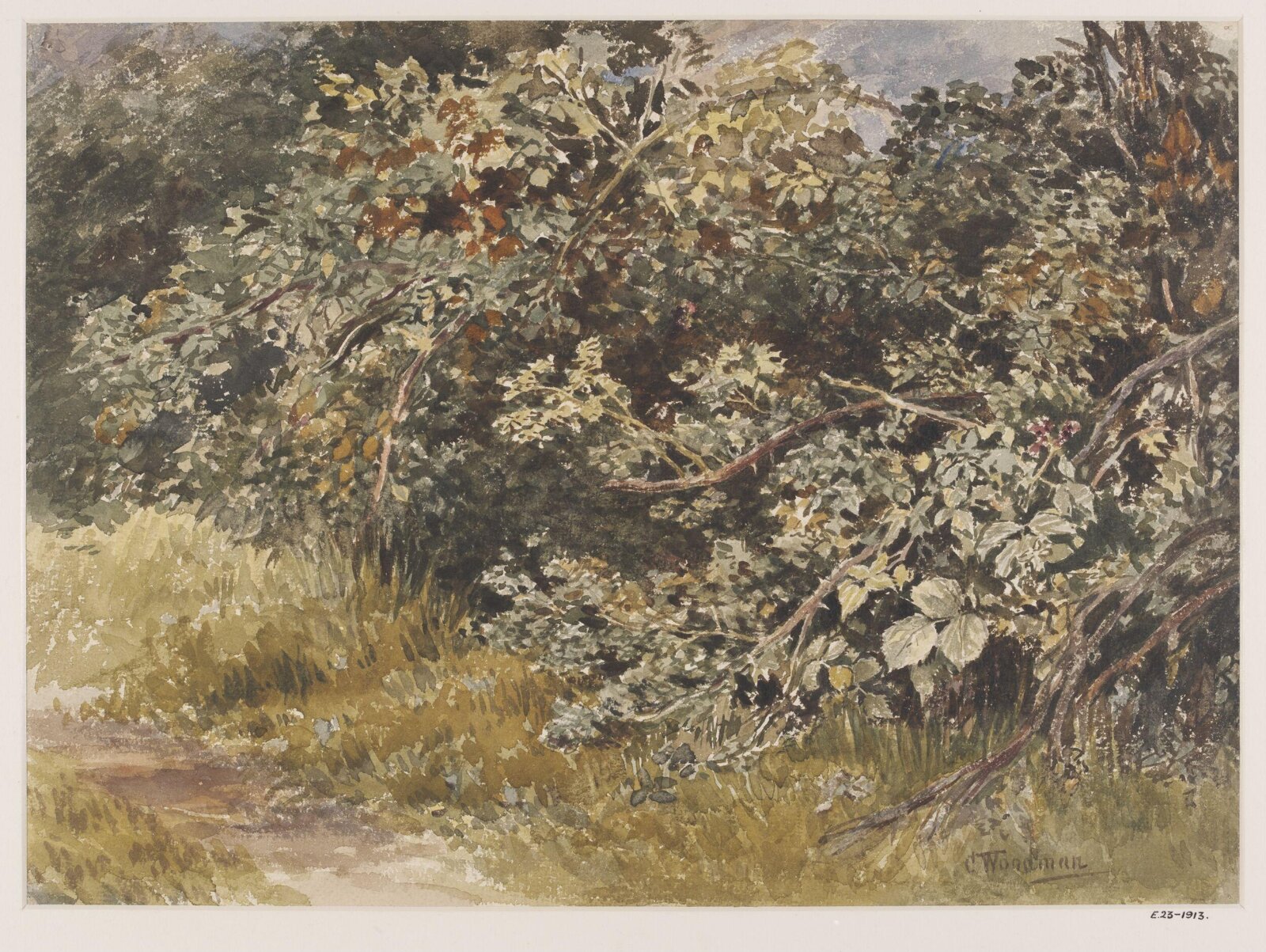 Drawing, Charles Henry Woodman, 19th century