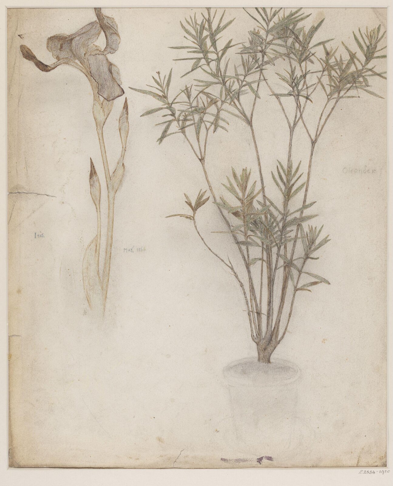 Drawing, Harry Ellis Wooldridge, May 1866