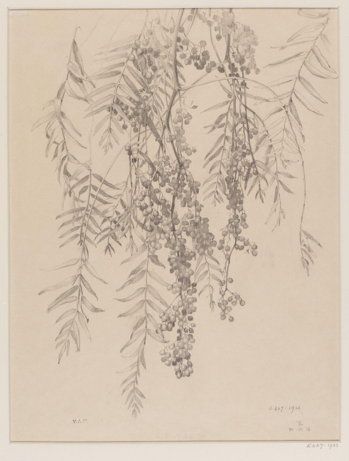 Drawing, Edward Ingram Taylor, 21.11.1916