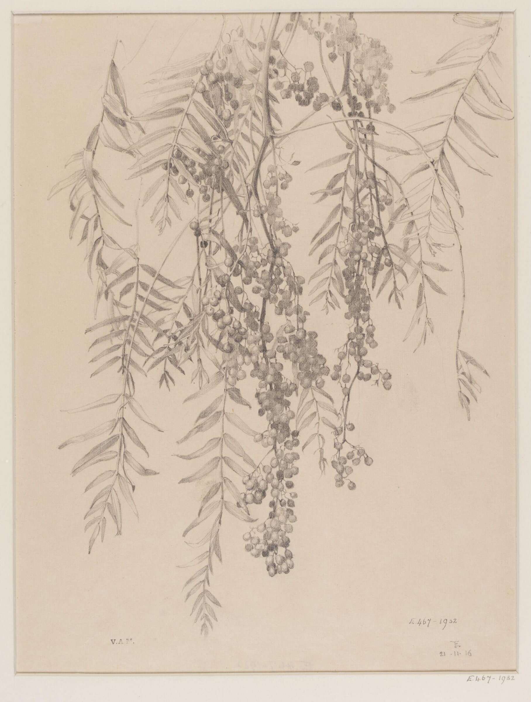 Drawing, Edward Ingram Taylor, 21.11.1916
