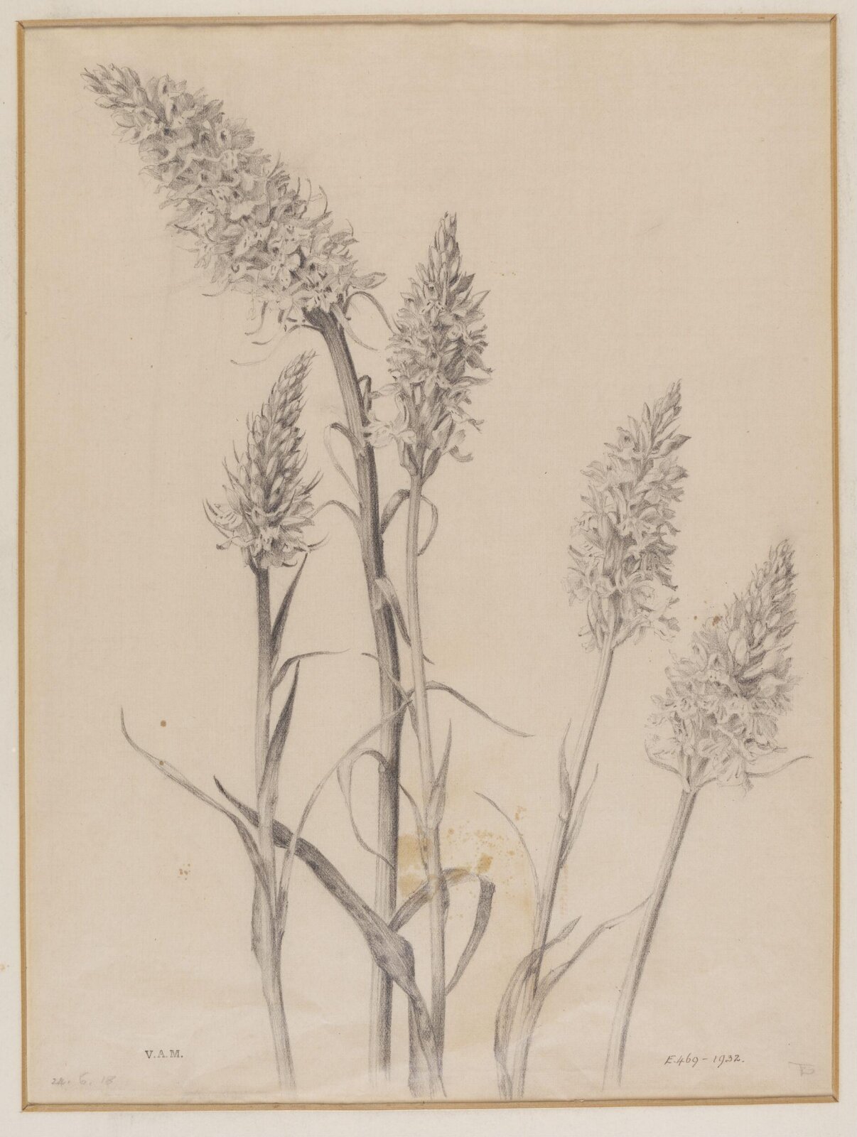Drawing, Edward Ingram Taylor, 24.6.1918