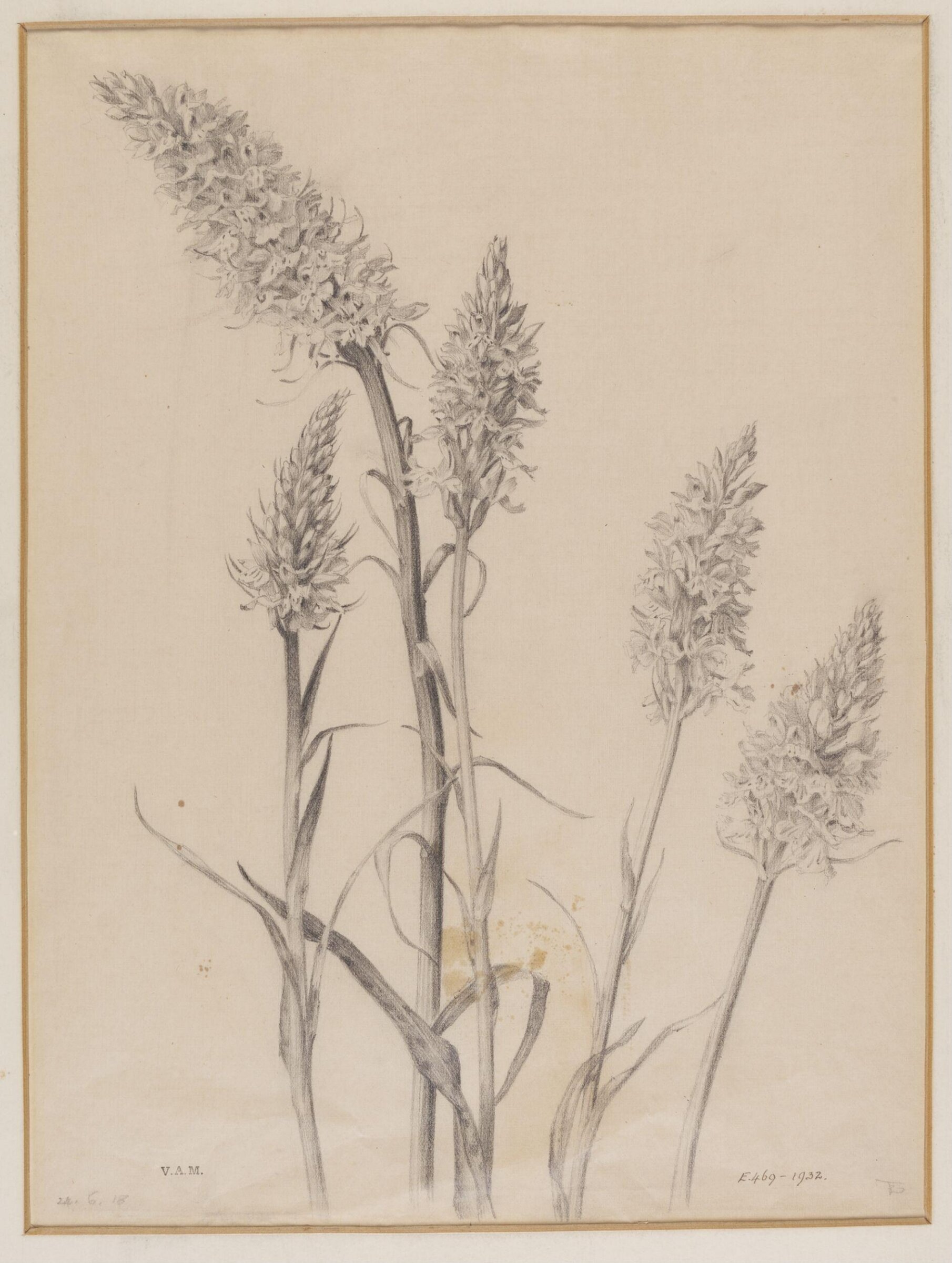 Drawing, Edward Ingram Taylor, 24.6.1918