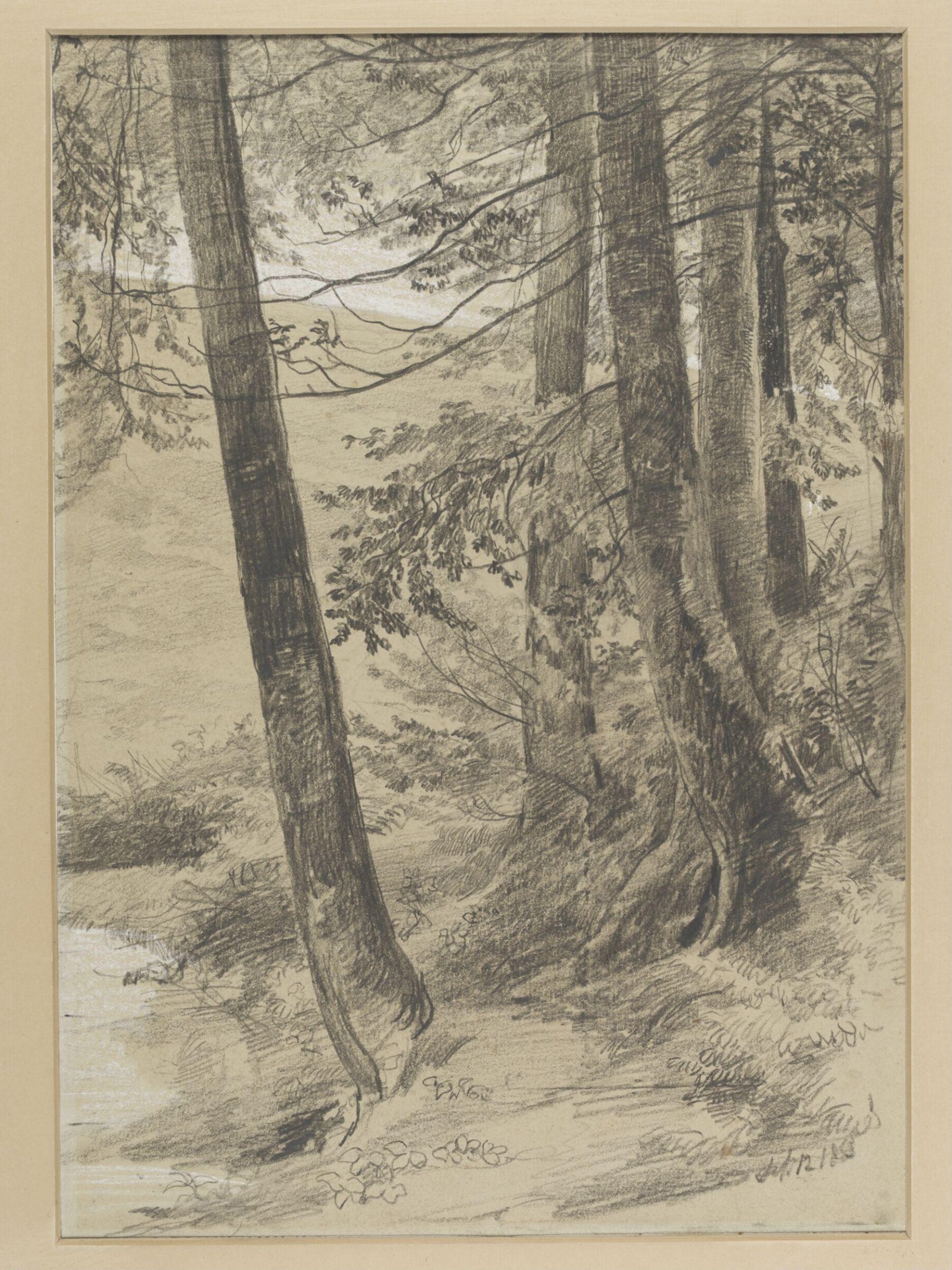 Study of tree stems at King George's Hill, Abinger, Richard Redgrave, ca. mid 19th century