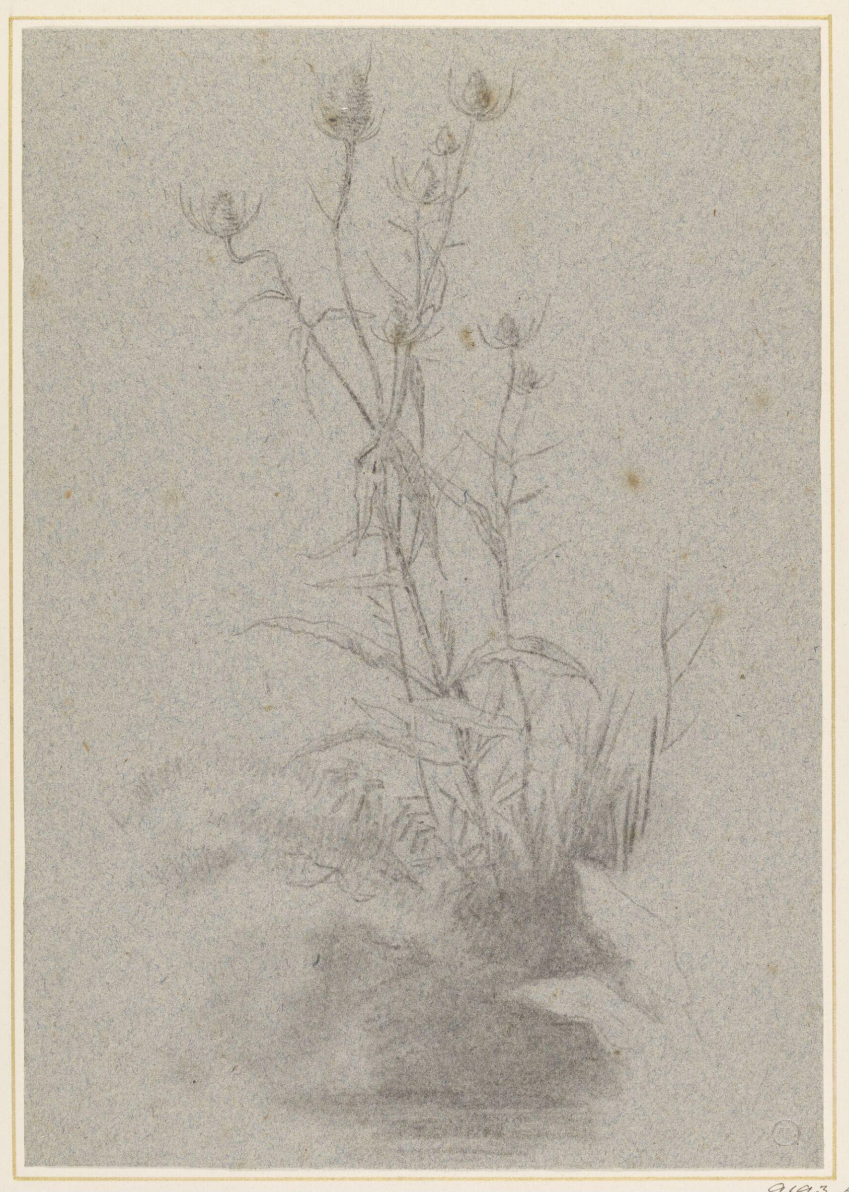 Drawing, Edwin Henry Landseer, 19th century