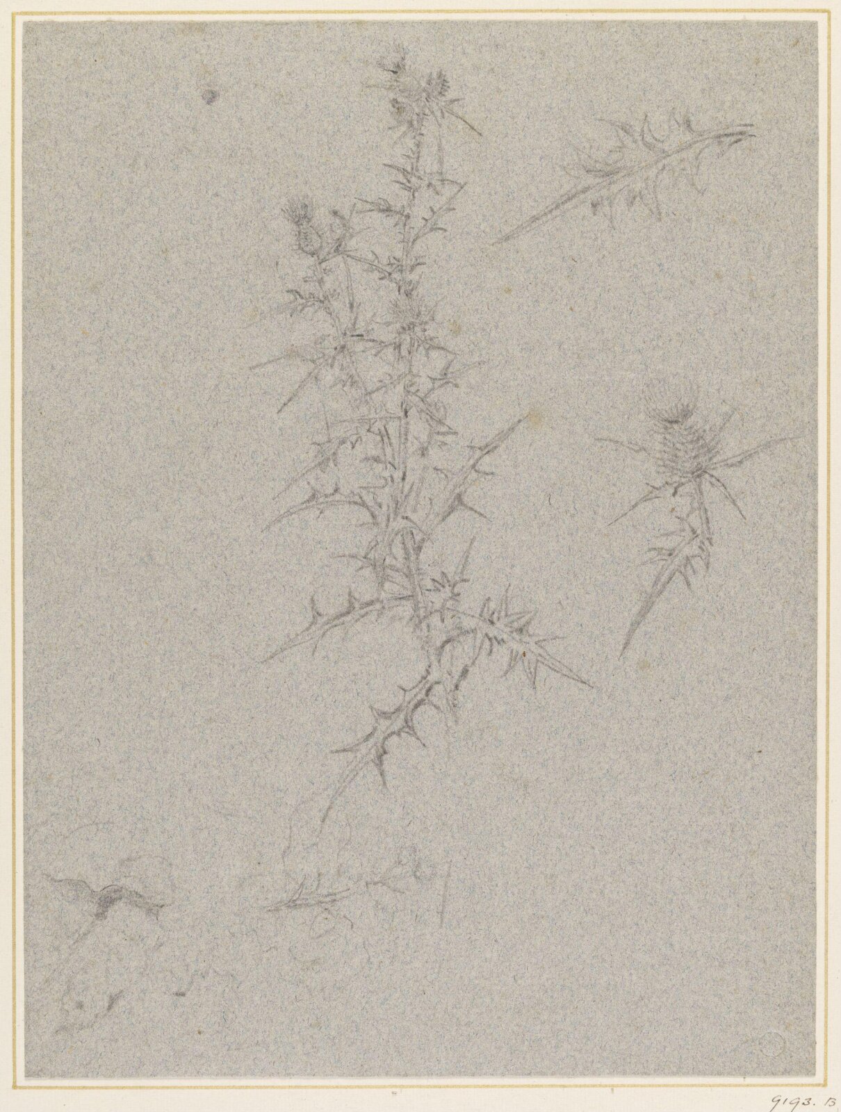 Drawing, Edwin Henry Landseer, 19th century