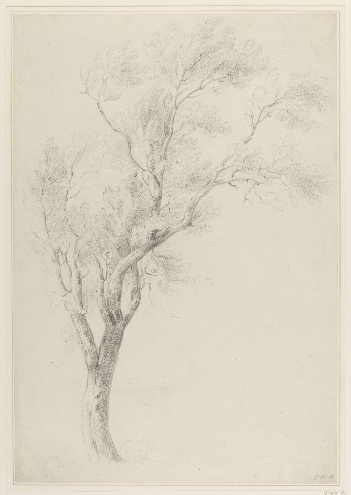 Drawing