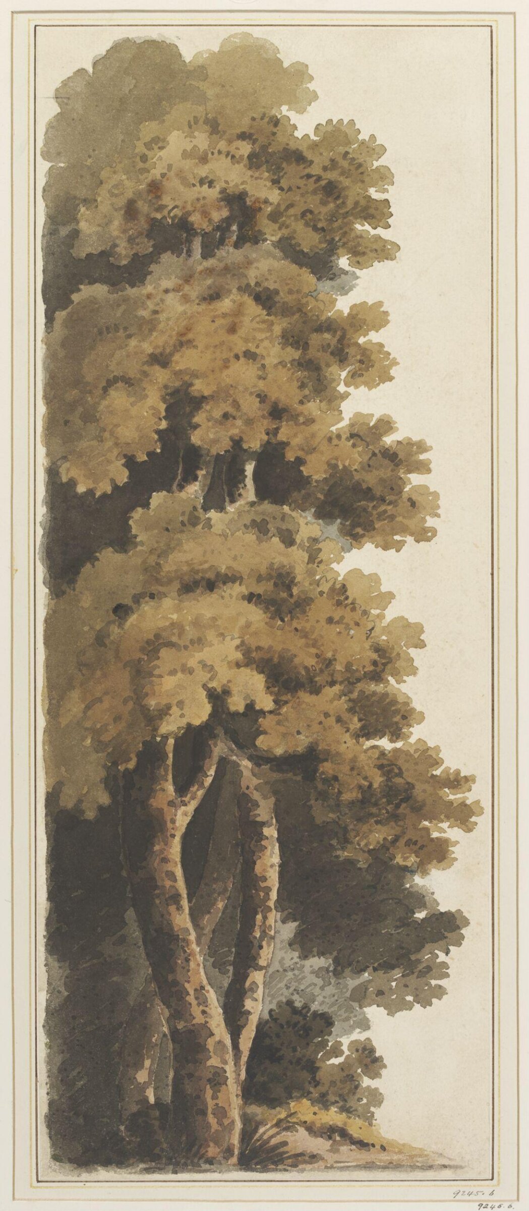Drawing, William Fleetwood Varley, 1785-1856