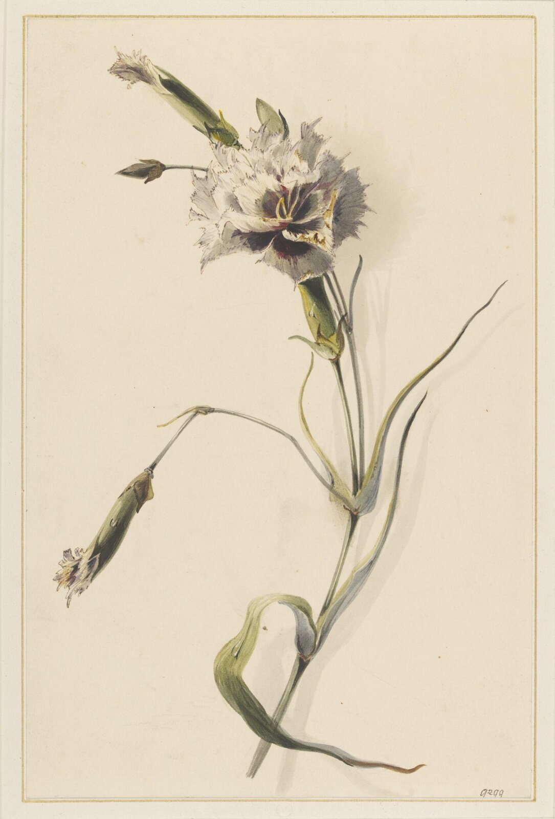 Drawing, Ann Charlotte Bartholomew, 19th century